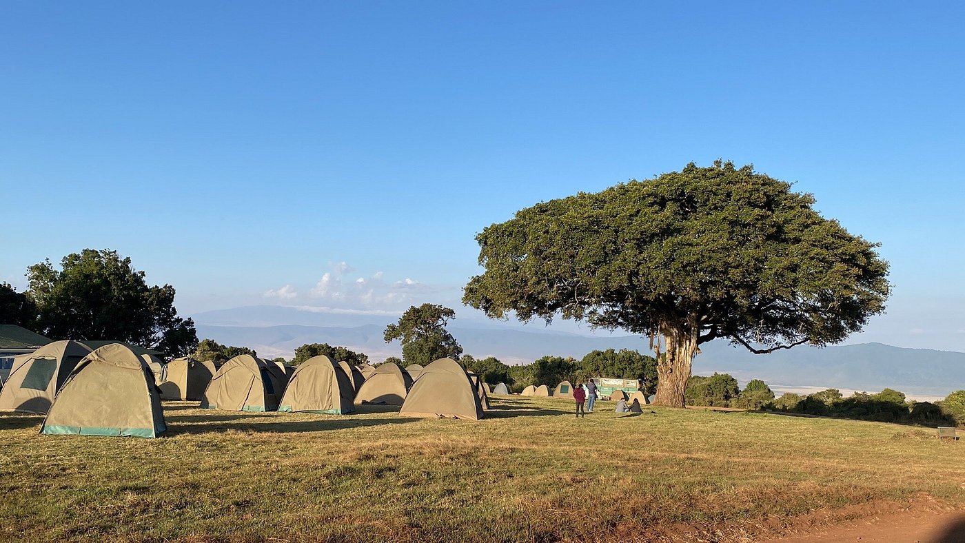 basic camping tent